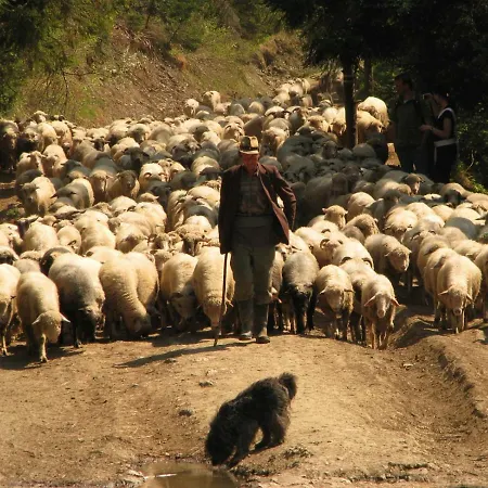 Nasze Pieniny 什恰夫尼察