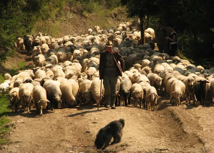 Nasze Pieniny 슈차브니차